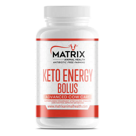 Keto Energy Bolus