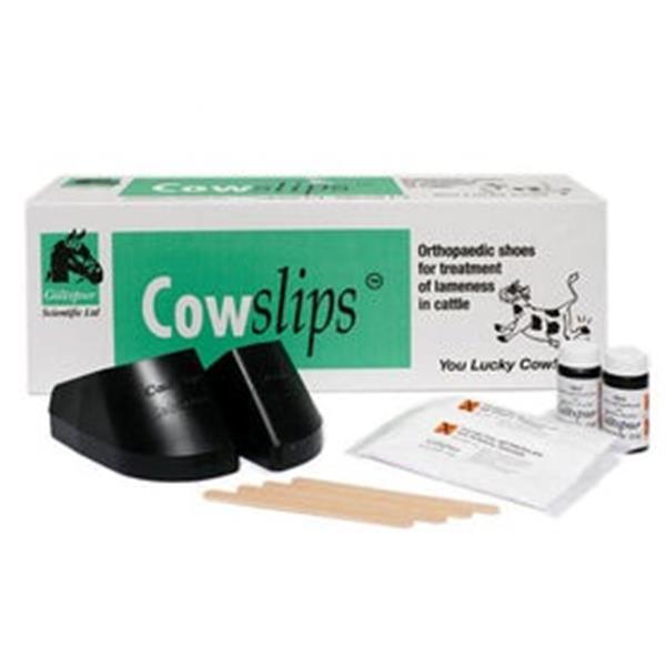 Cowslips 40 Pack (Mixed) - Doc
