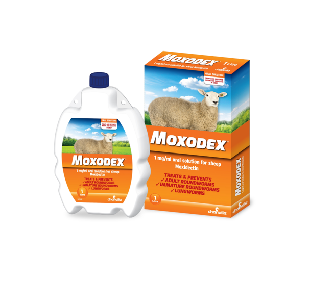 Moxodex (moxidectin) Antiparasitic Pour-On Solution for Cattle and Livestock Treatments