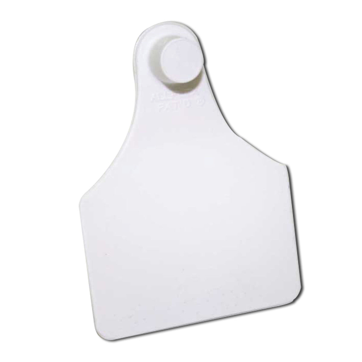 TAG WHITE LGE FEMALE BLANK EACH Pack 100