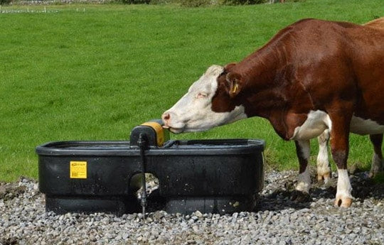 JFC Fast Fill Water Trough 90 gal