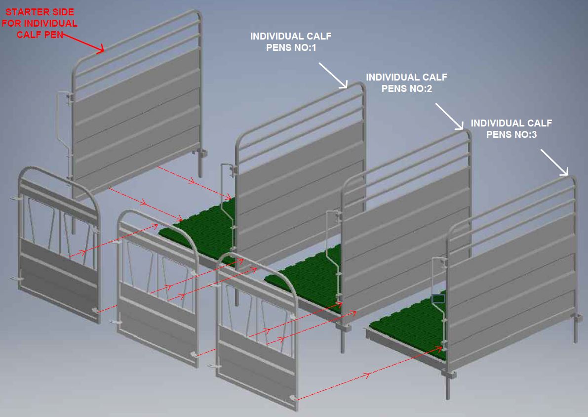 Calf Pens