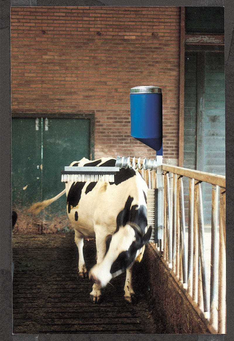 CATTLE BRUSH WITH DISPENSER