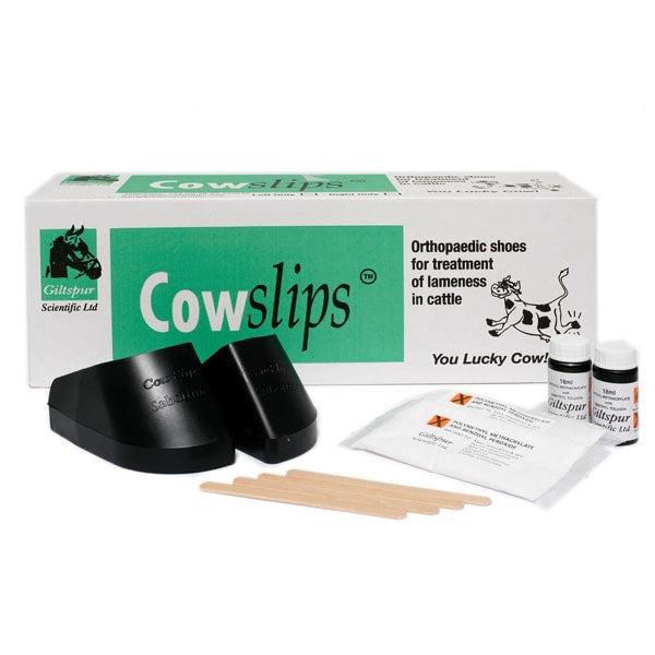Cowslips 40 Pack (Mixed)