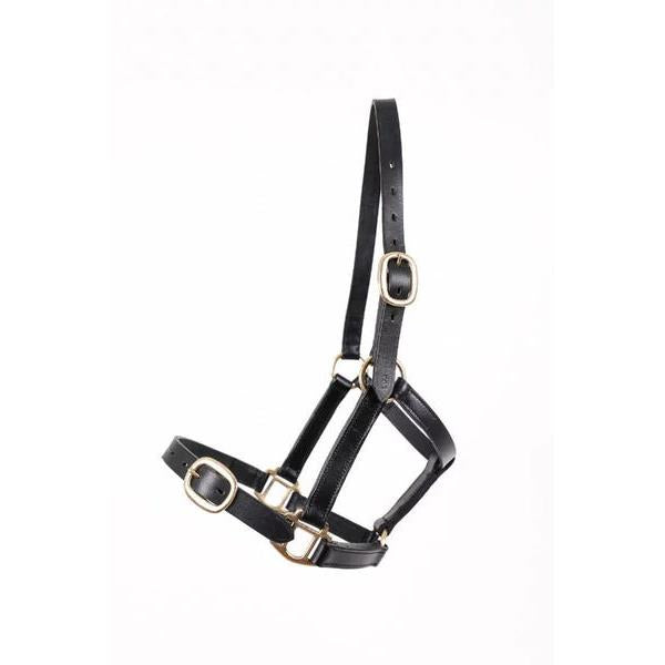 BREEZE UP LEATHER HEADCOLLAR LATIGO