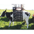 SHOOF COW LIFTER LIFTEASE COMPLETE