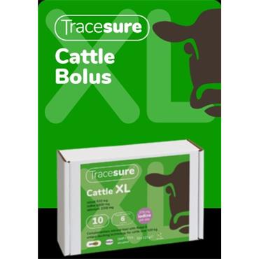 tracesure-cattle-xl-with-copper-10s