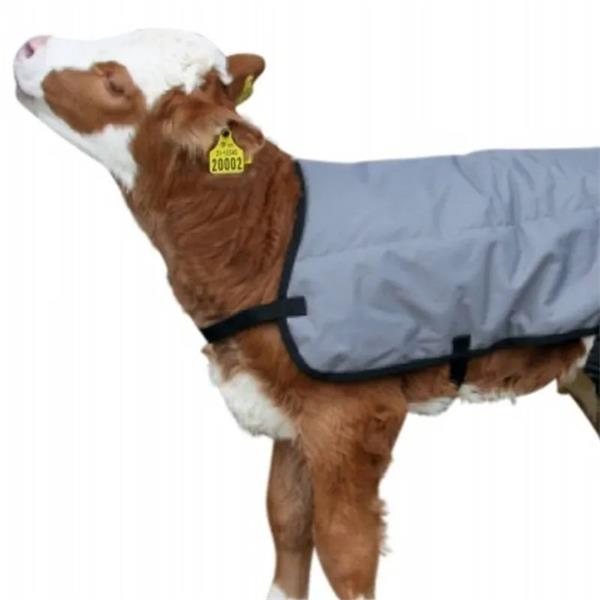 Breathable Calf Jacket
