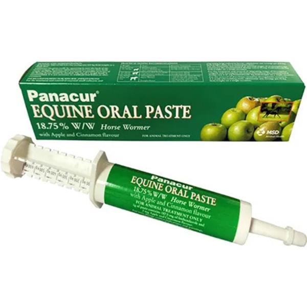 Panacur Equine Paste