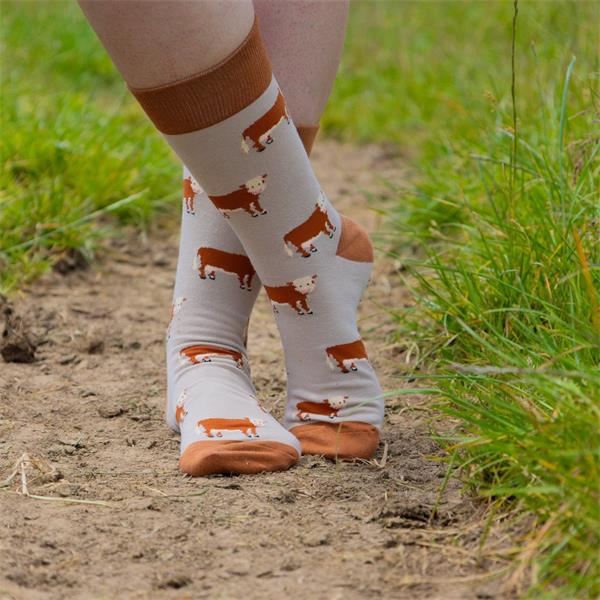 Hereford Cattle Crew Socks