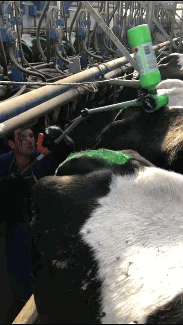Applying Tail Paint with Tailpainter