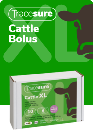 Tracesure Cattle XL with Copper 20&