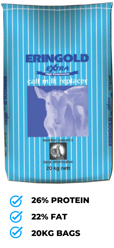 ERINGOLD EXTRA