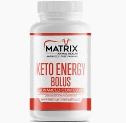 Keto Energy Bolus