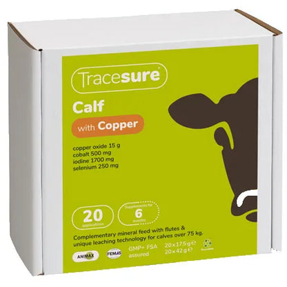 ALLSURE CALF 20&
