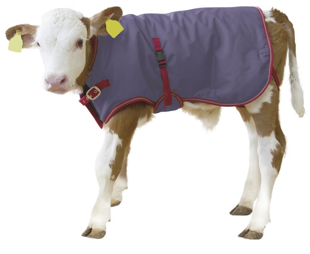 Thermal Calf Coat