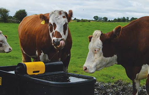JFC Fast Fill Water Trough 90 gal